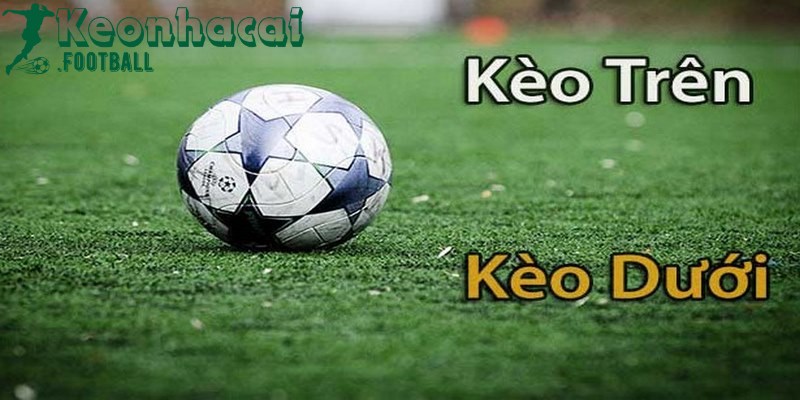 Kèo trên kèo dưới là gì? Các tỷ lệ kèo phổ biến nhất 1 keo tren keo duoi 1