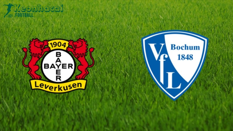 Soi kèo Bayer Leverkusen vs Bochum - 2h30 ngày 29/3 - Bundesliga 1 Soi kèo Bayer Leverkusen vs Bochum - 2h30 ngày 29/3 - Bundesliga