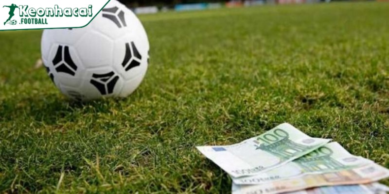 Kèo lựa là gì - Cách chơi kèo hay cho người mới bắt đầu 4 Kinh nghiệm lựa kèo là gì một cách hiệu quả cho người mới