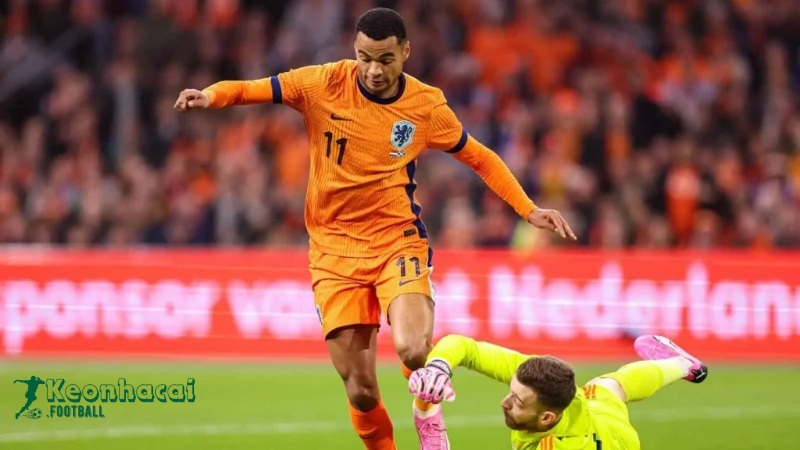 Soi kèo Phần Lan vs Hà Lan - 1h45 ngày 08/6 - VL World Cup Châu Âu 2 Soi kèo Phần Lan vs Hà Lan - 1h45 ngày 08/6