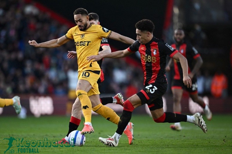 Soi kèo Bournemouth vs Wolves - 21h00 ngày 23/8 - Ngoại hạng Anh 2 Soi kèo Bournemouth vs Wolves - 21h00 ngày 23/8
