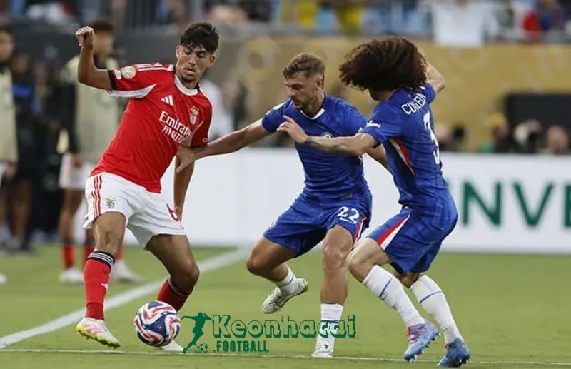 Soi kèo Feyenoord vs Fenerbahce - 2h00 ngày 07/8 - Sơ loại Champions League 2 Soi kèo Feyenoord vs Fenerbahce - 2h00 ngày 07/8